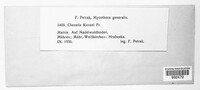 Image Associated With the Occurence